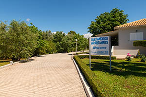 6000 sq.m. green!